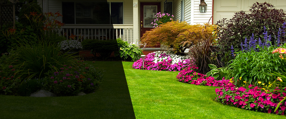 Whittier Landscapers
