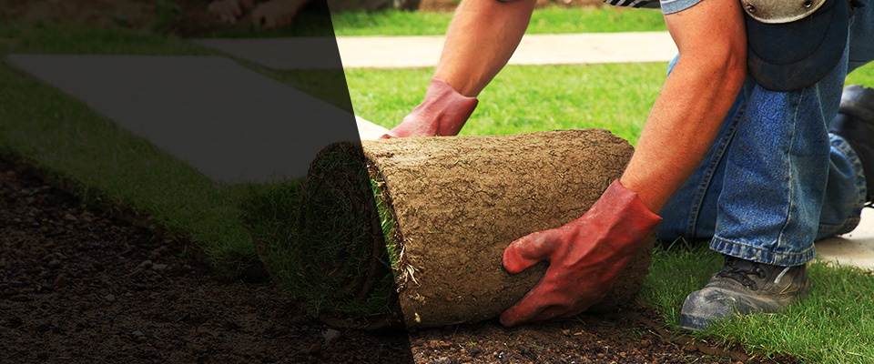 Whittier Landscapers
